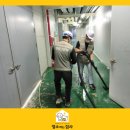 브랜드특수크리닝 이미지