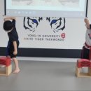 박사 백호 태권도장 이미지