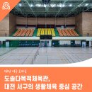 도솔다목적체육관 이미지