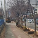 [부천 까치울 맛집] 오리참나무장작구이 | 몸보양 가족단위식사 오리고기집 추천