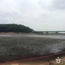 동방농장 이미지