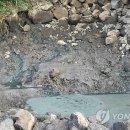 숨골농장 이미지