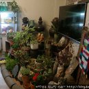 화개랑모텔 이미지