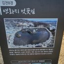 김천시 문화관광해설사의집 | 김천 벚꽃명소 교동 연화지 봄에 산책하기 좋은 곳