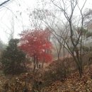 방동가든 Daum카페