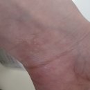 유니약국 | 오피신 유니버셀 불리 바디오일 내돈내산 후기- 멕시크 튜베로즈 (르네상스 향기)