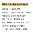 바람세기별 체감풍속 기록 이미지