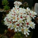 나들이쉼터 이미지