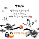 담양약국 이미지