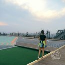경남관광안내소(도청) | 도쿄타워·아사쿠사 ·시부야 전망대 총정리:도쿄 무료·유료 전망대 BEST 7 (2025 최신)
