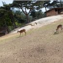 클럽이에스통영리조트 이미지