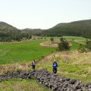 표선공설묘지 이미지