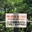 자연 속 힐링 가득했던 괴산 승암159캠핑장, 아이와 함께한 1박 2일 후기