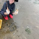 해조음펜션 이미지