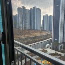 이천방충망 완벽한 실내 환경을 위한 방충망 체험 후기