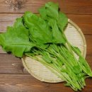 당뇨환자는 이런음식 먹으면 혈당수치가 쭉내려갑니다. 이미지