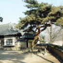사군자민박 이미지