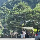 단양여행 가볼 만한 곳 단양팔경 도담삼봉 유람선 후기 주차장