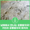 창선 가인리화석산지 | 남해에서 만나보는 공룡발자국! 가인리 공룡발자국 화석지