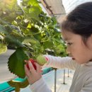 아인농장 이미지