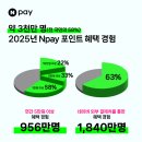 페이로