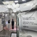 [코엑스 팝업] 무림페이퍼 블라썸 | 종이 회사가 팝업을 열었다고? 직접 다녀온 후기