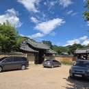 햇볕쨍쨍문구 | [대구 가볼만한곳] 남평문씨세거지 능소화 돌담길 인생샷 명소! 더위 피하는 꿀팁까지