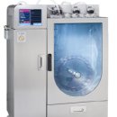 생명의줄기 이미지