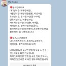 판교 운중동 마이케이크 Mar.2 cake 분당 홀케이크 맛집