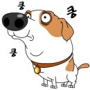 더 편하개 이미지