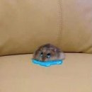 디자인내일