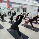 플라잉요가(주간_중급) 이미지