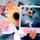 포근하개 이미지