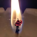 원종로 | 상담 3회차 후기: 부천점집 방문 후 신뢰도 100%로 달라진 후기~