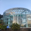 감귤박물관 | ​🍊 [제주 서귀포] 아이와 가볼 만한 곳 '제주감귤박물관' 나우다 할인 &amp; 감귤 피자 만들기 체험 후기