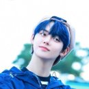 머리그리다