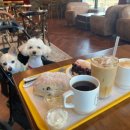 행복한우리아이 동물병원 이미지