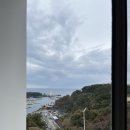 내돈내산 강아지 동반 제주도여행 1일차 헤이서귀포 오쿠다공항점 그러므로part2 시소카이막