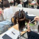 우리가족 헤어커트 이미지