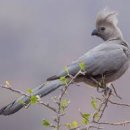 안중레포츠 공원 체육시설 이미지