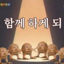 아르케 핏 이미지