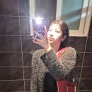 애니컴 그루밍 펫 | 이사
