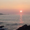 제주 남원포구 축제 이미지