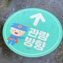 경주동궁원 | [경주] 경주 동궁원 후기 | 경주 가볼만한 곳 추천 경주 실내 여행 코스 경주 보문단지 동궁원