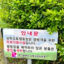 을숙도 미니축구장 | [삼락생태공원] 부산근교나들이,걷기좋은곳,좋은코스와가까운무료주차장,준비물,인근맛집
