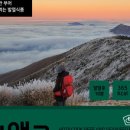 영남도시락