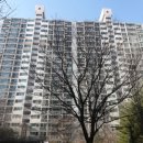 다산중앙약국 이미지