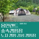 용인랜드 숲속캠핑장 살구 4번 및 전체 사이트 상태 공유