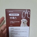 아우어펫 이미지