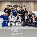 터틀주짓수 서귀포지부 | 무주짓수 to 파라에스트라 신서귀포 (and 제주도 가족여행)